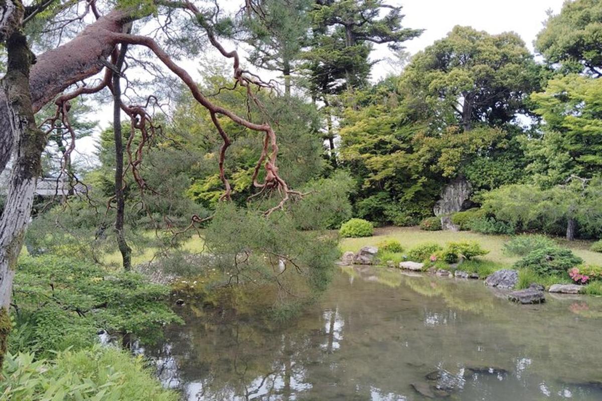 ein Teich in einem Garten mit Bäumen und Sträuchern