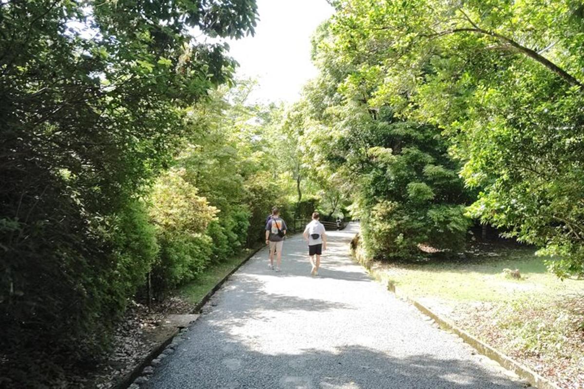 due persone che camminano lungo un sentiero con alberi