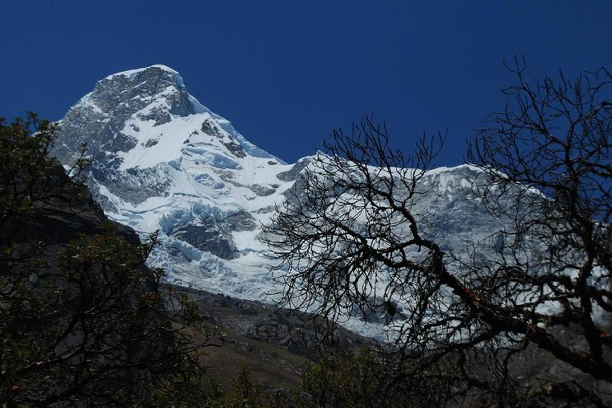 uma montanha coberta de neve com árvores na frente dela