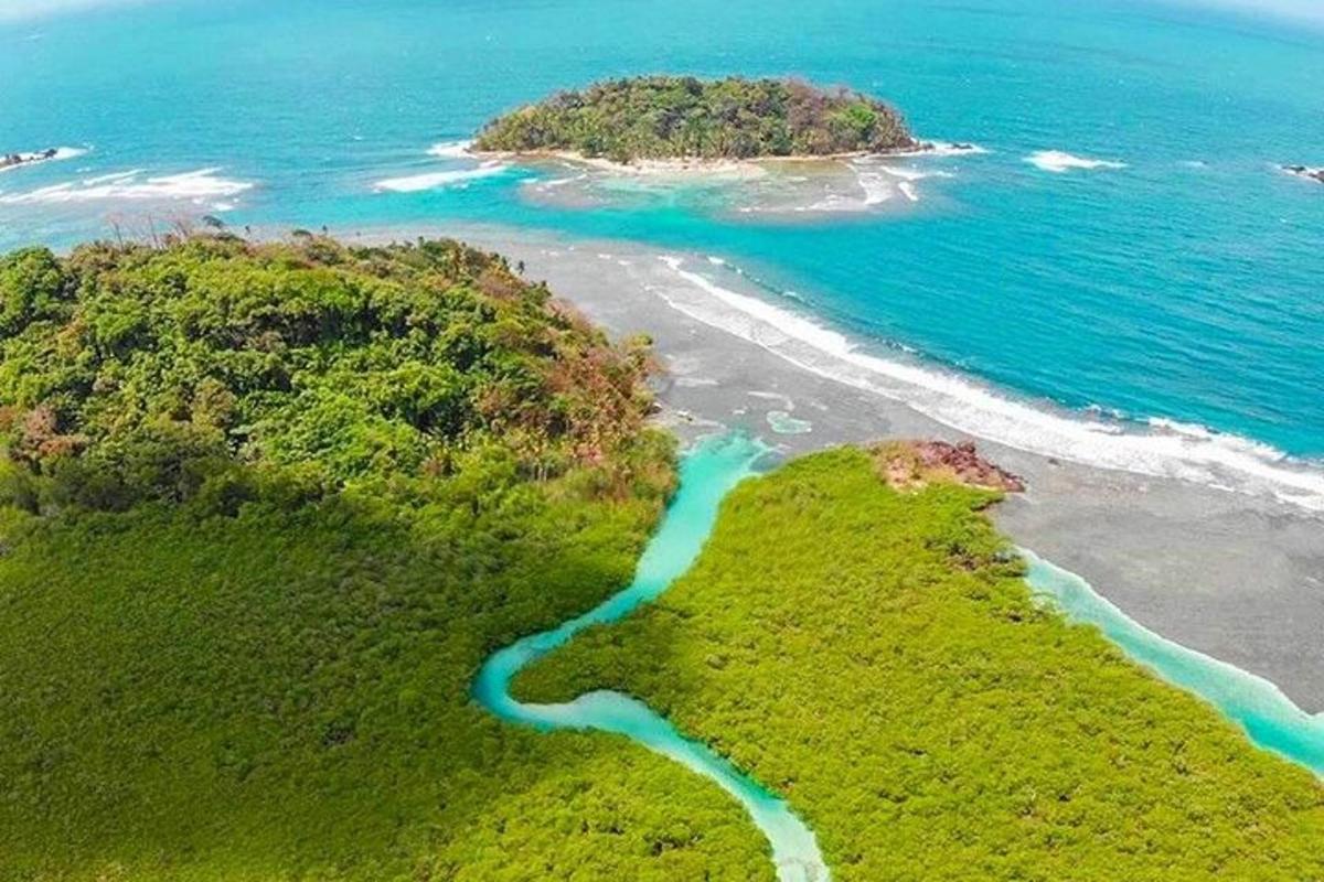 Una vista aérea de una isla verde con dos ríos.