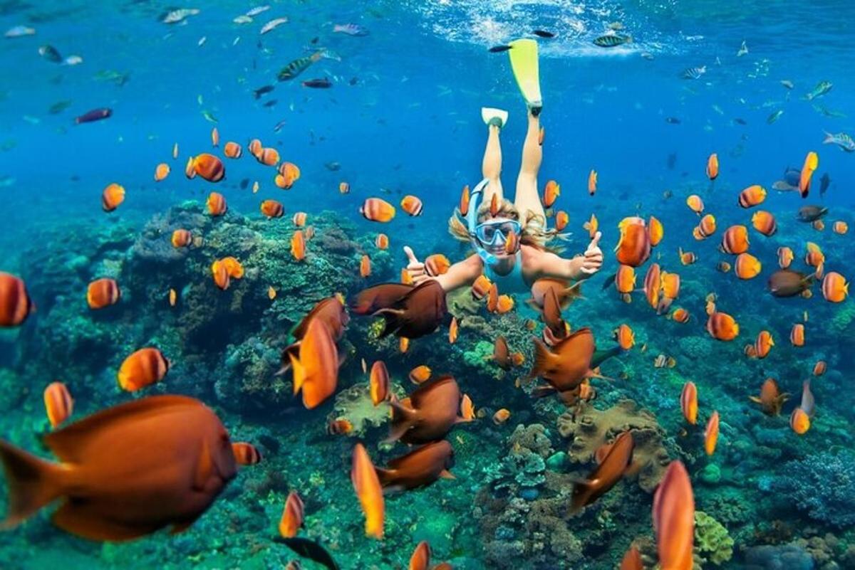žena pliva u oceanu s jatom riba