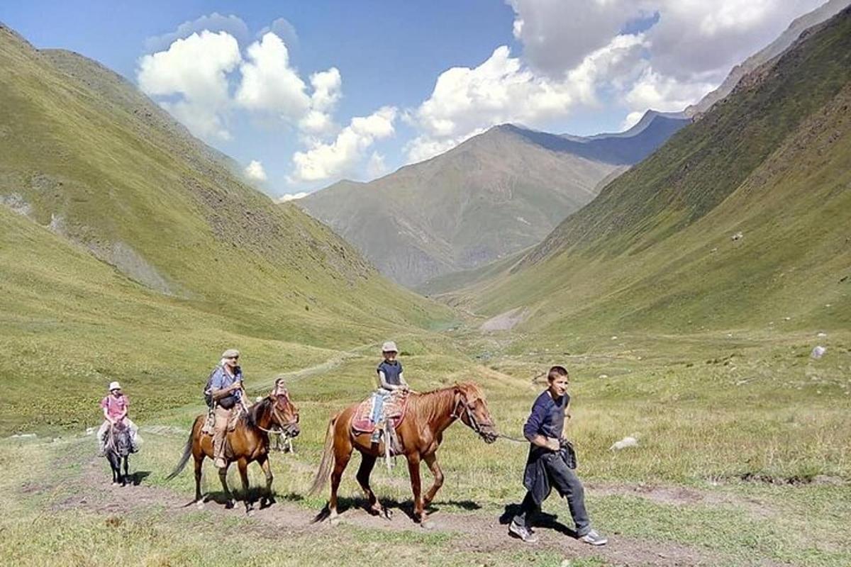 Un grupo de personas montando a caballo en las montañas.