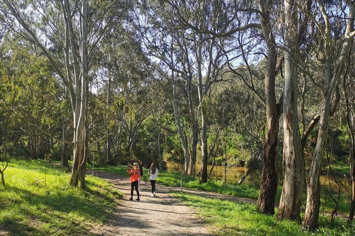 two people walking down a dirt road with trees