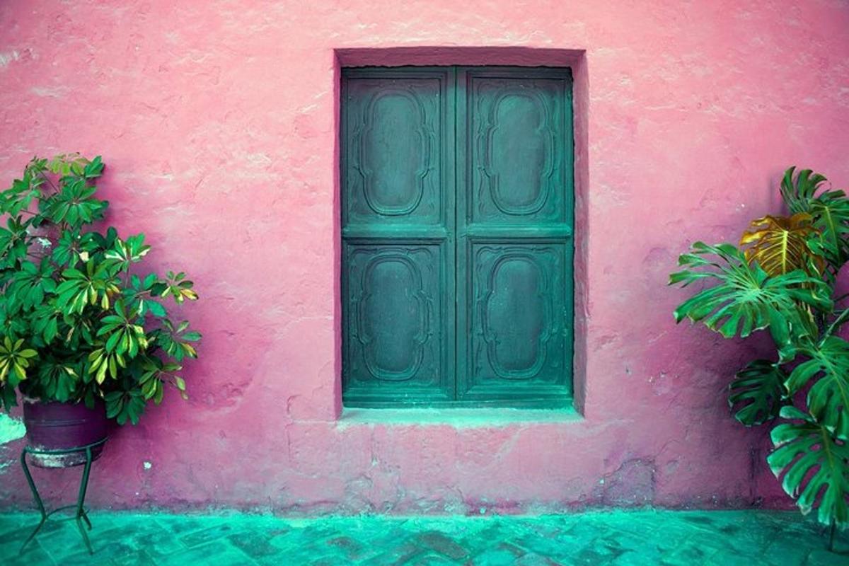 un muro rosa con una porta verde e due piante