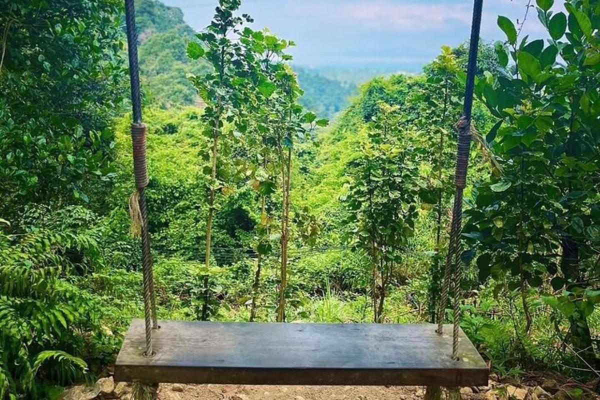un'altalena in mezzo a una foresta