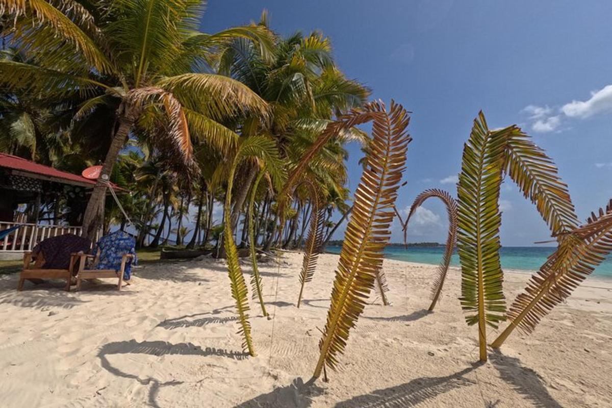 egy pálmafás strand, egy székkel és az óceánnal