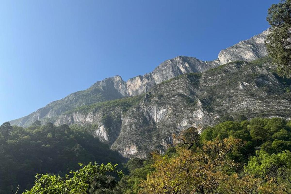 una montaña rocosa con árboles y un cielo azul