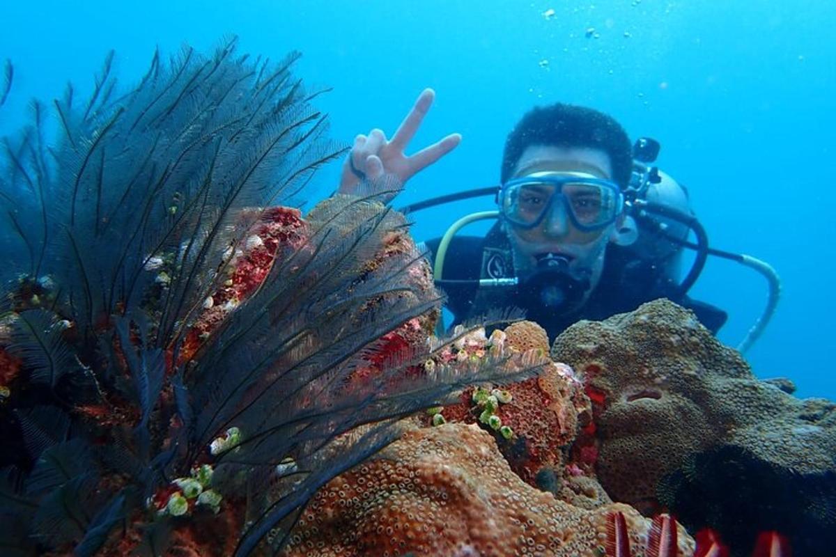 um homem com equipamento de mergulho aponta para um recife de coral