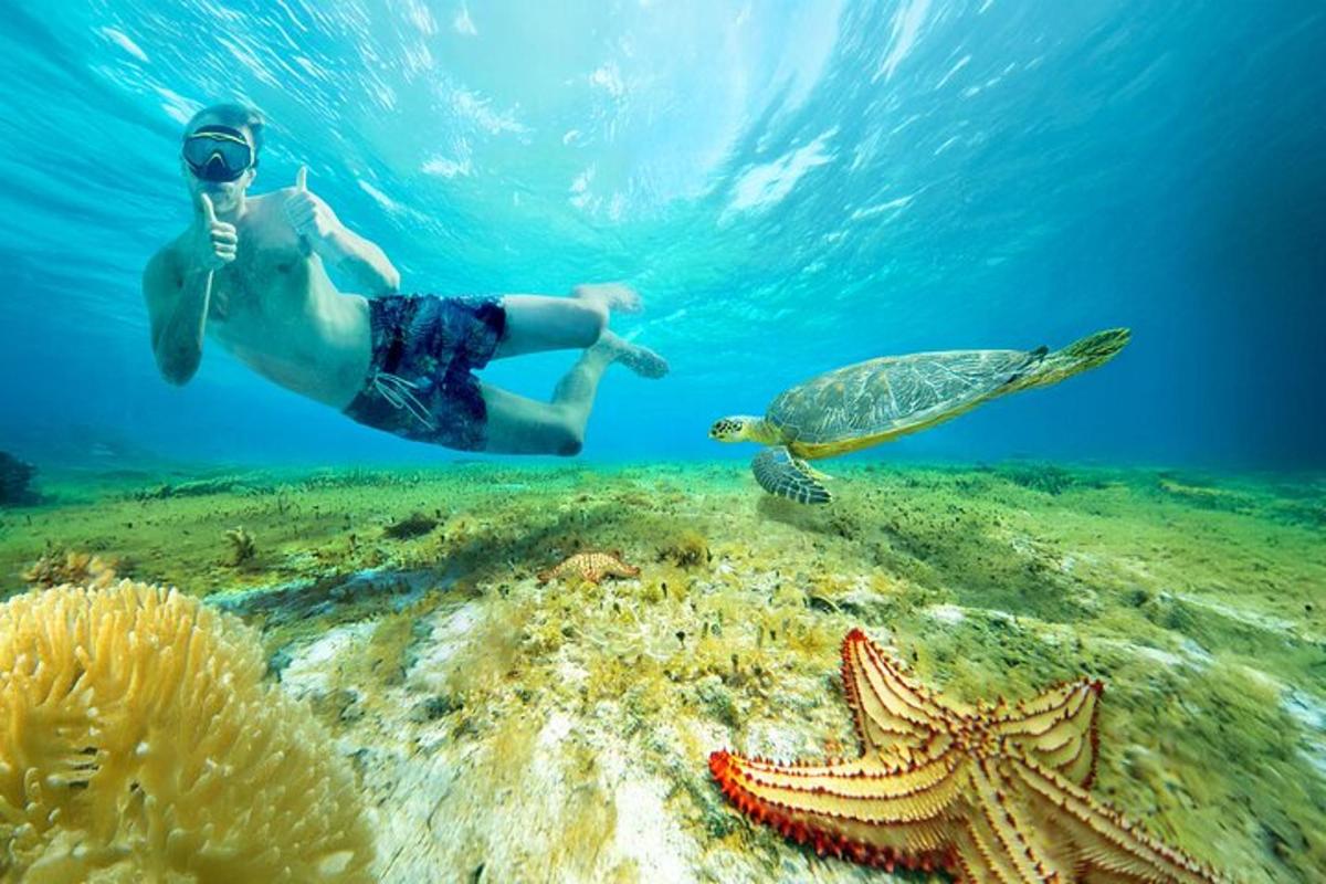 a man swimming in the ocean next to a turtle