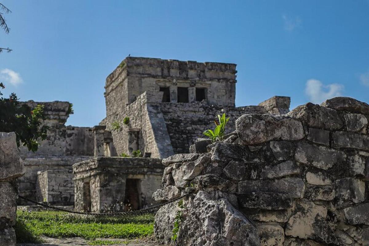an old stone building with a plant on top of it