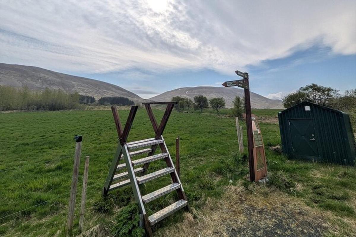 Una escalera colocada en un campo junto a una valla