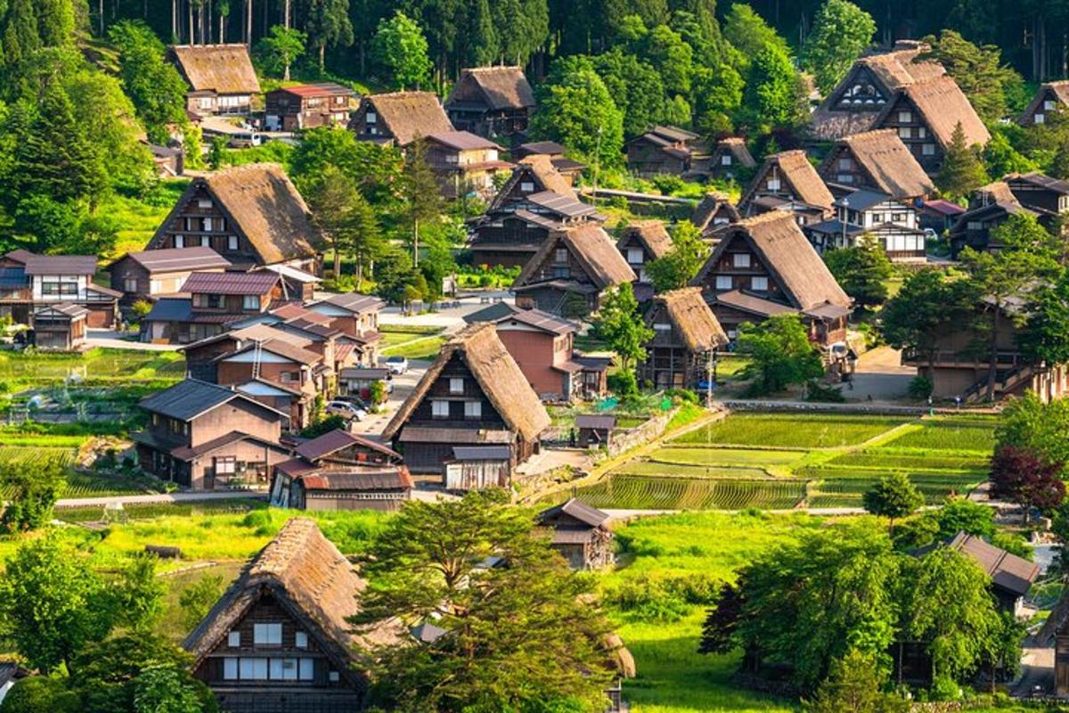 un villaggio con case su una collina con alberi