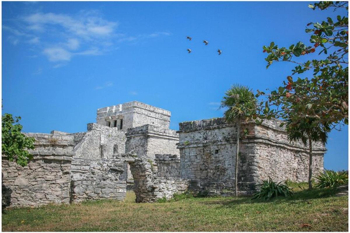 Un antiguo edificio de piedra con una palmera al lado.
