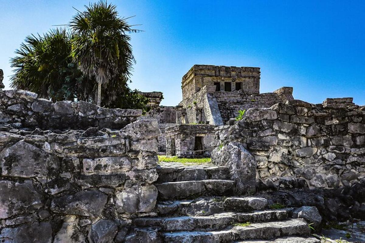 Un antiguo edificio de piedra con escaleras y una palmera.