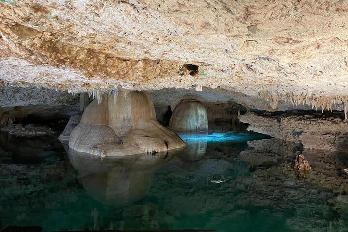 un bassal d'aigua en una cova amb una mica de gel
