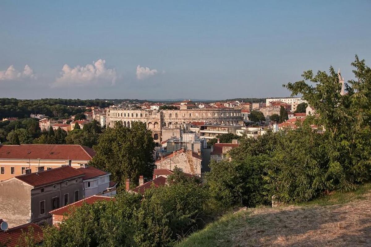 egy város látképe épületekkel és fákkal