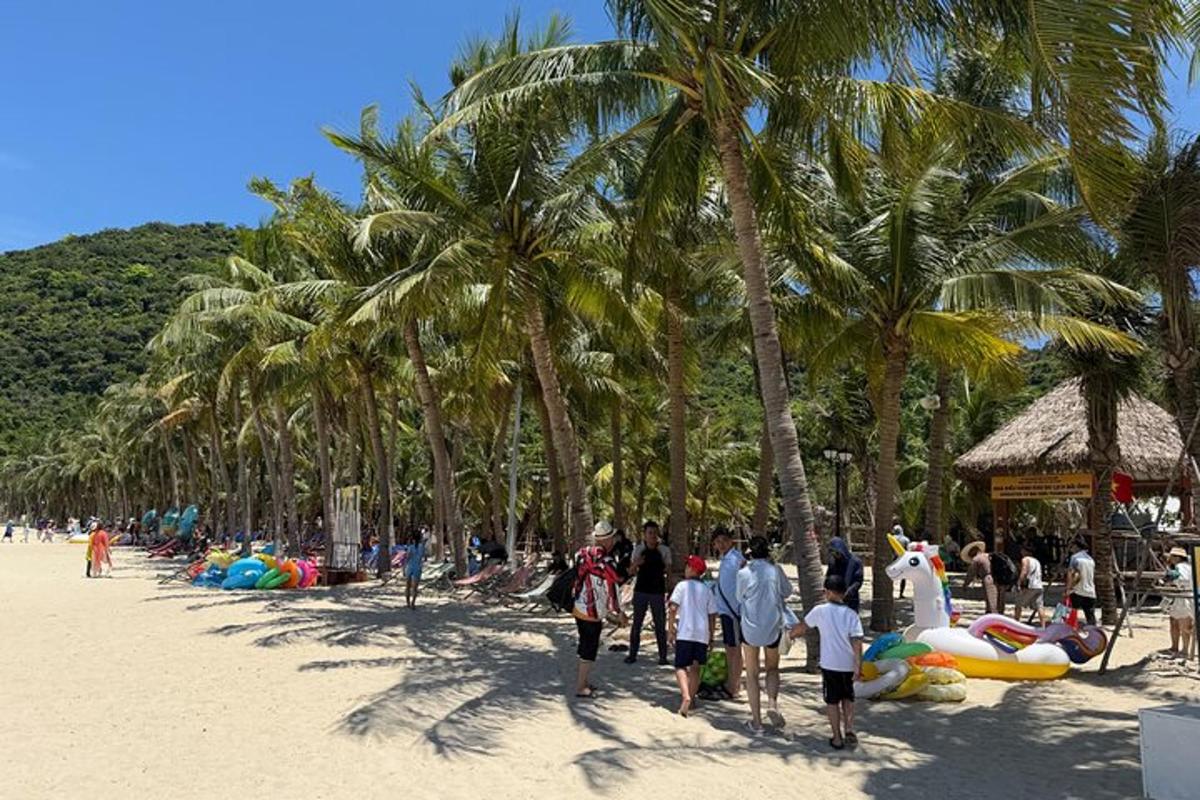 skupina ljudi, ki se sprehajajo po plaži s palmami
