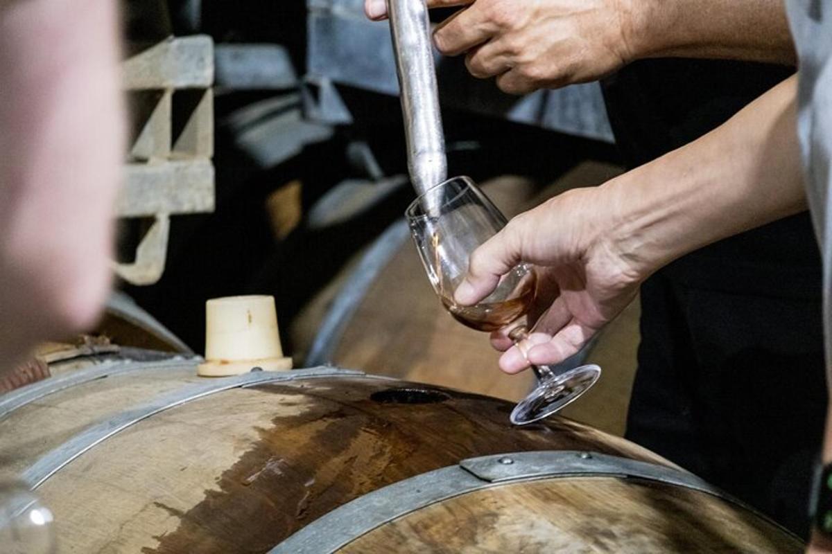 una persona che tiene un bicchiere di vino sopra una botte