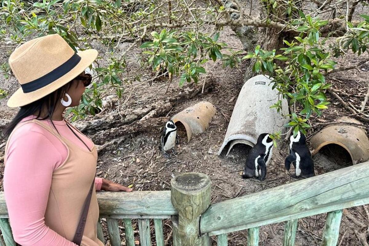 een vrouw met een hoed die naar panda's kijkt in een dierentuin