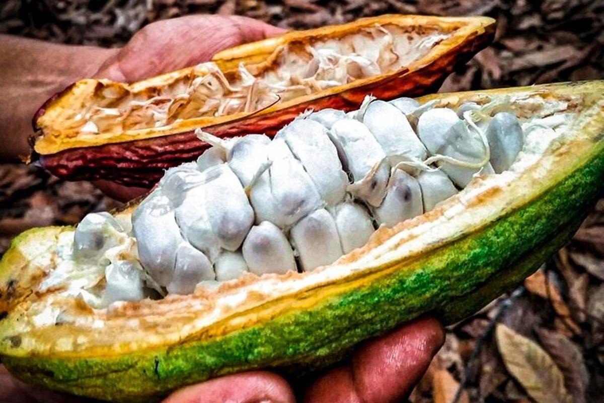 una persona che tiene in mano una banana parzialmente mangiata con aamed
