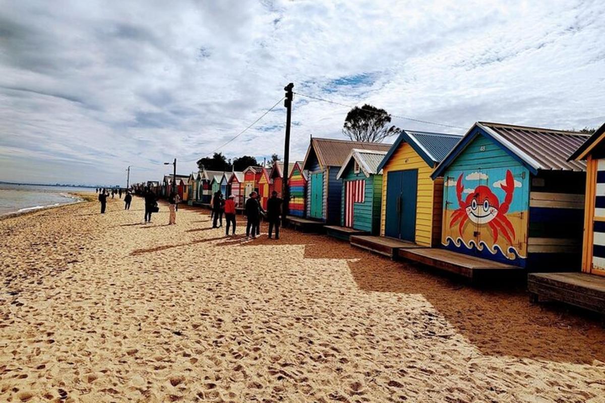 una fila di case colorate sulla spiaggia