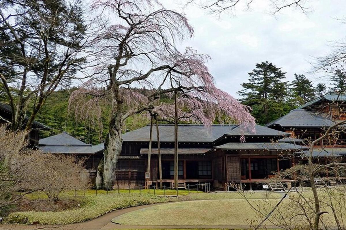 una casa amb un arbre al davant