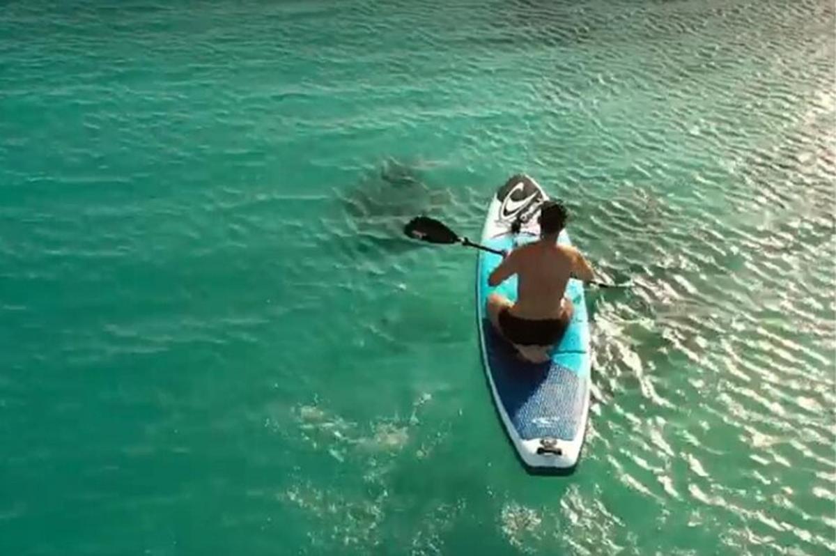 a man on a paddle board in the water