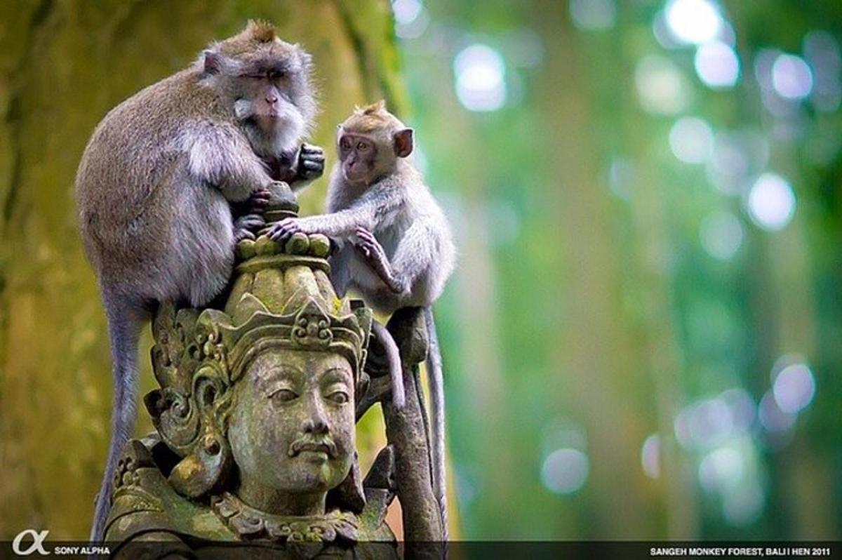 two monkeys sitting on top of a statue