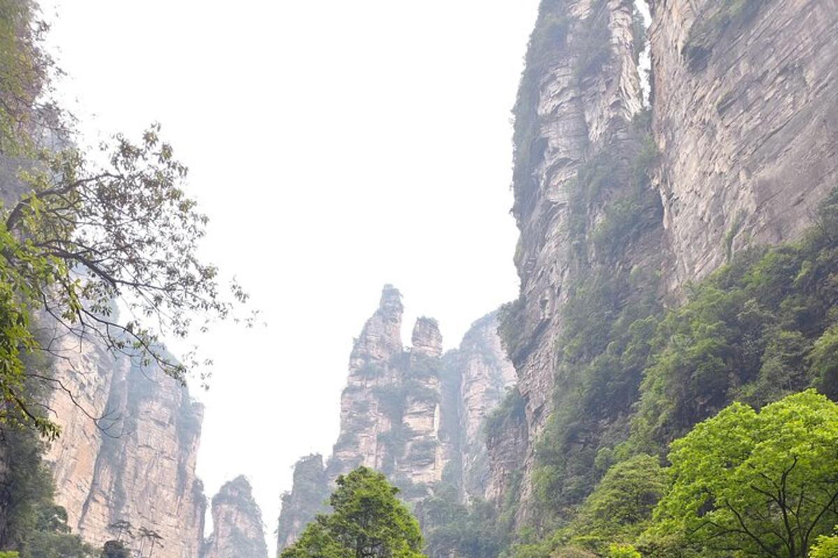 有岩石和树木的山景