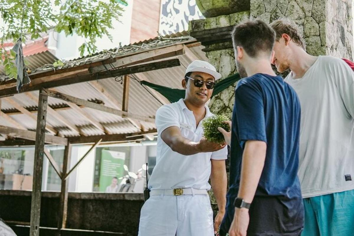 dva muži stojící vedle muže držícího rostlinu