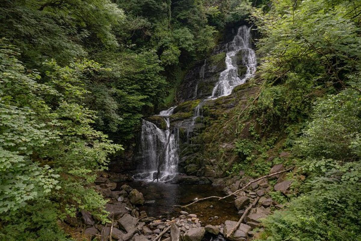 air terjun di tengah-tengah hutan