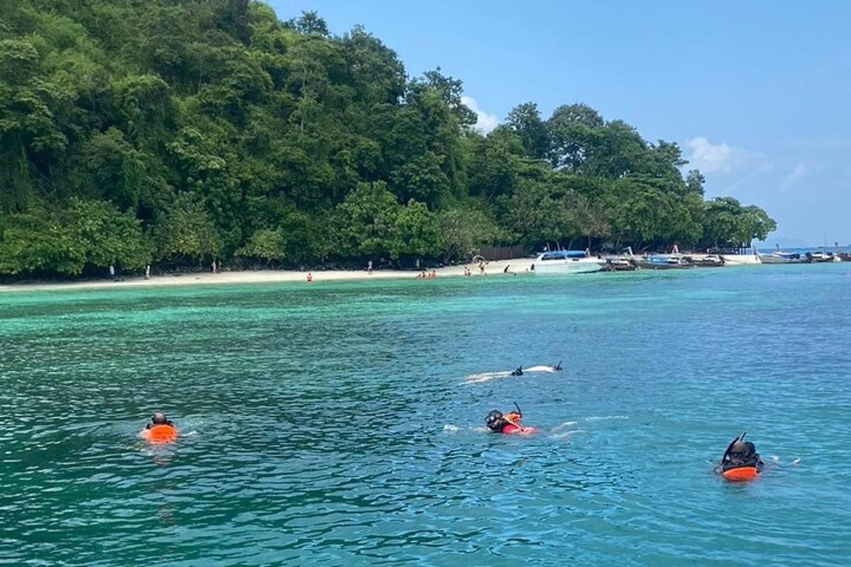 trije ljudje so v vodi blizu plaže