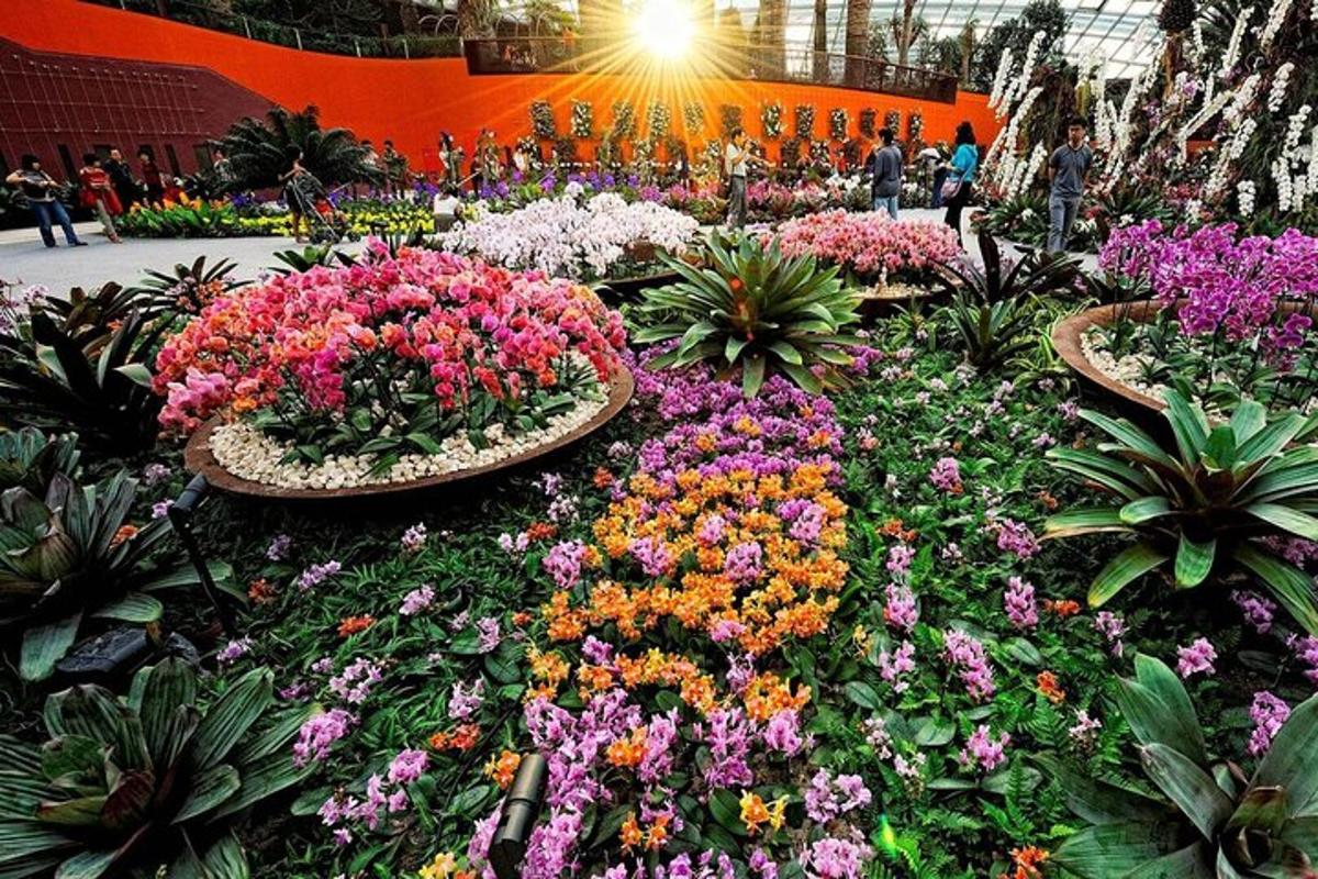 a display of colorful flowers in a garden