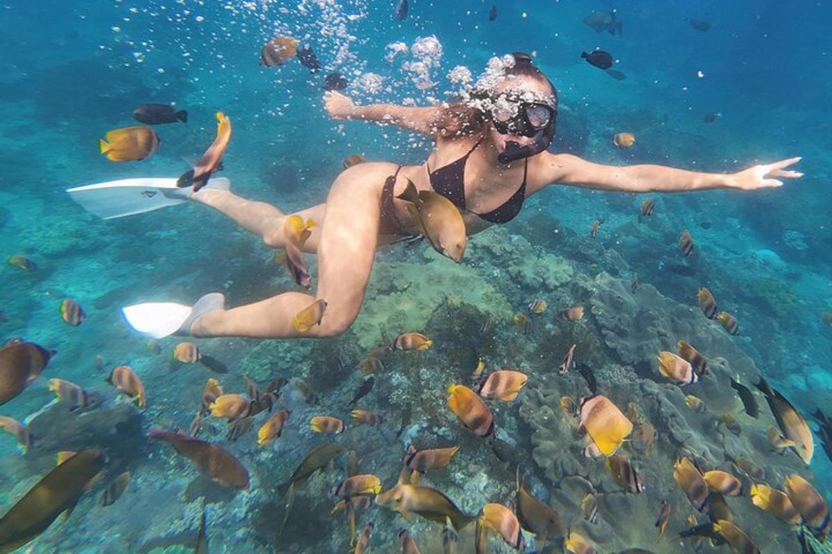 a woman swimming in the water with fish
