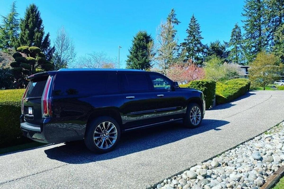 un camion nero parcheggiato sul ciglio di un vialetto