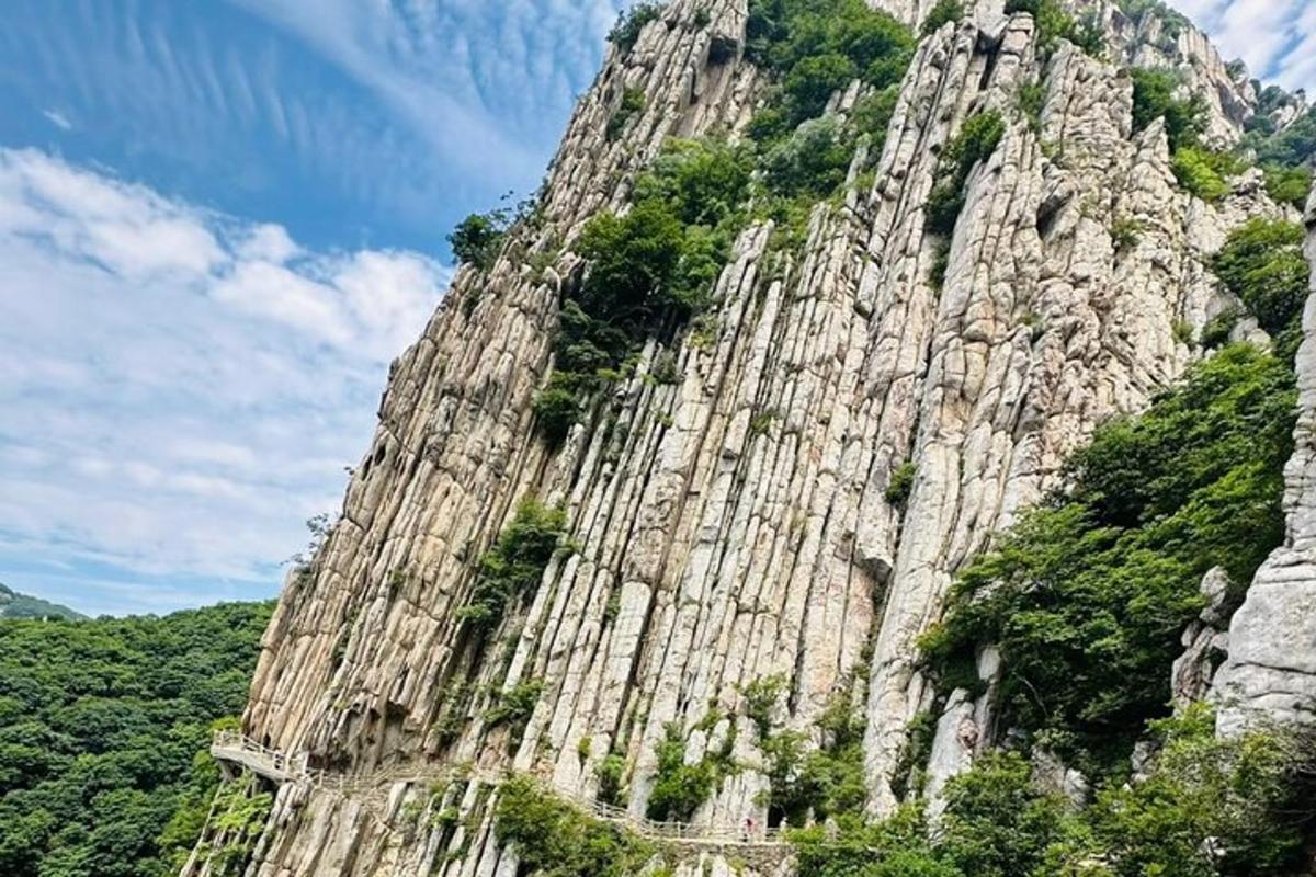 велика каменита планина са дрвећем на њој