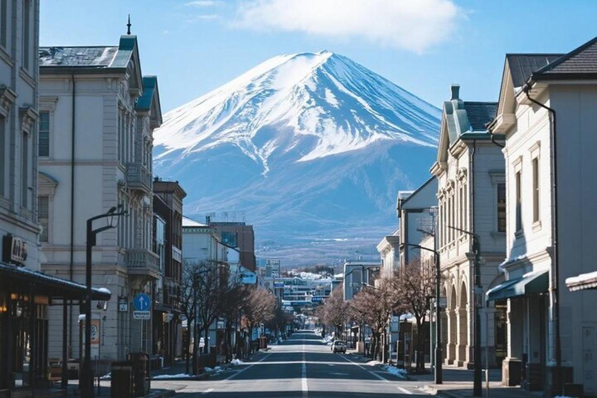 a snow covered mountain on a city street with buildings