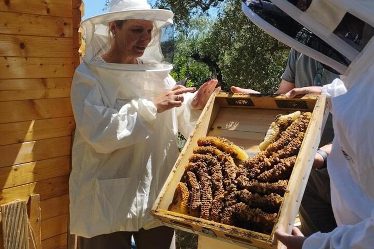 Una mujer en AOC sosteniendo una caja de colmenas