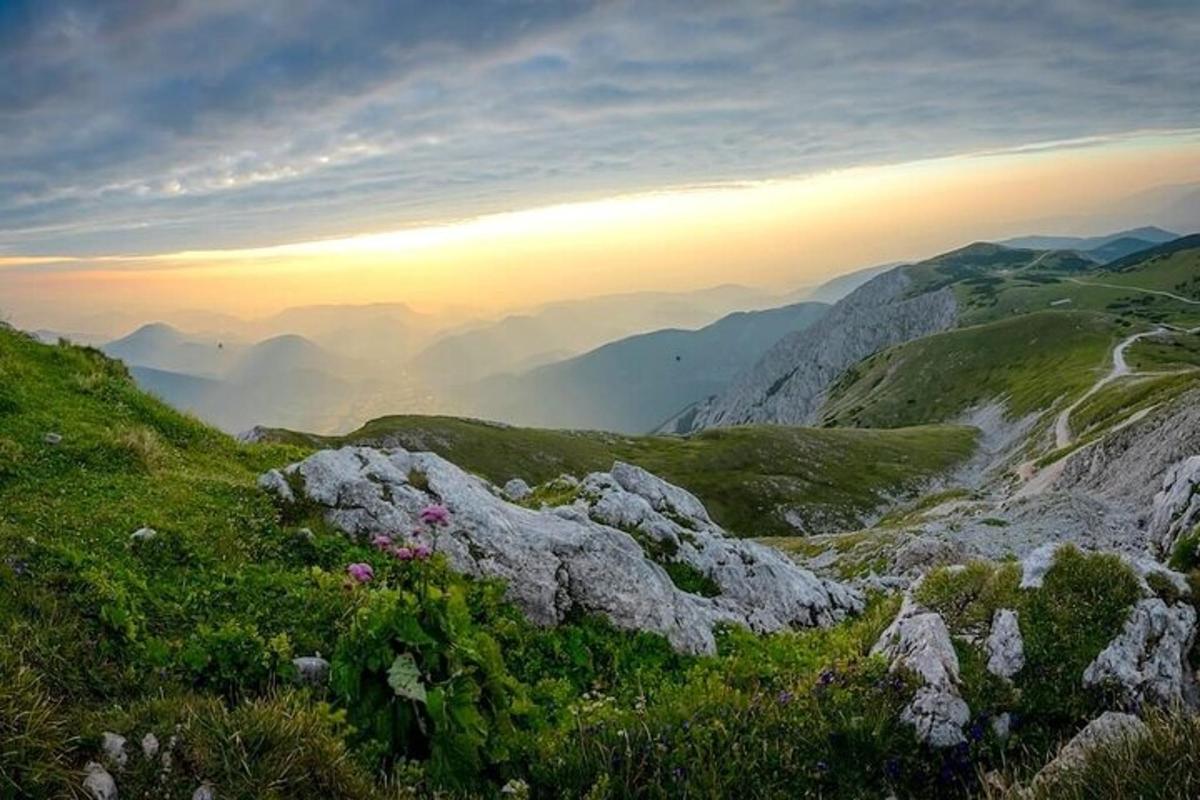Blick auf einen Berg mit Felsen und Blumen