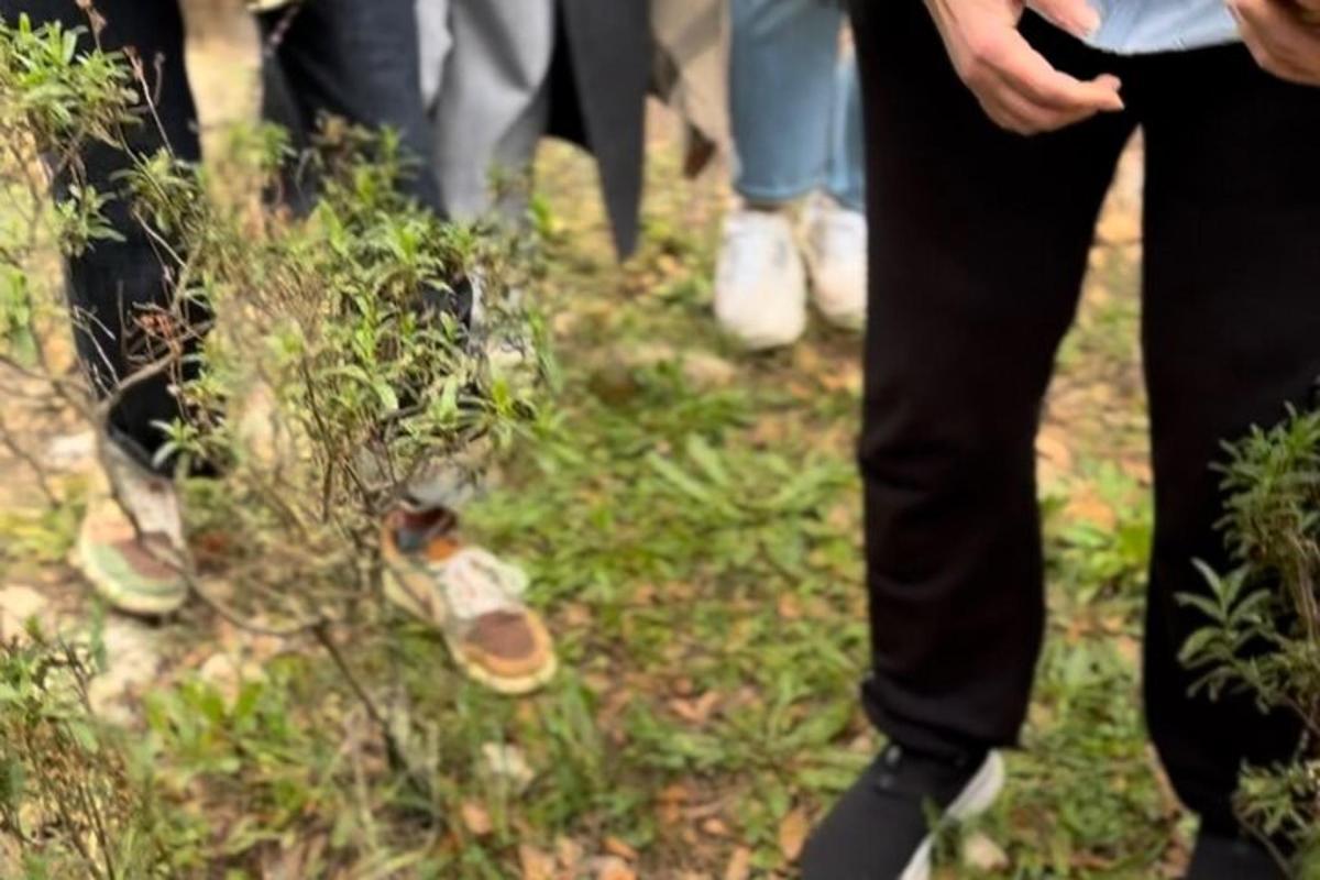un grup de persones dretes a l'herba amb les sabates