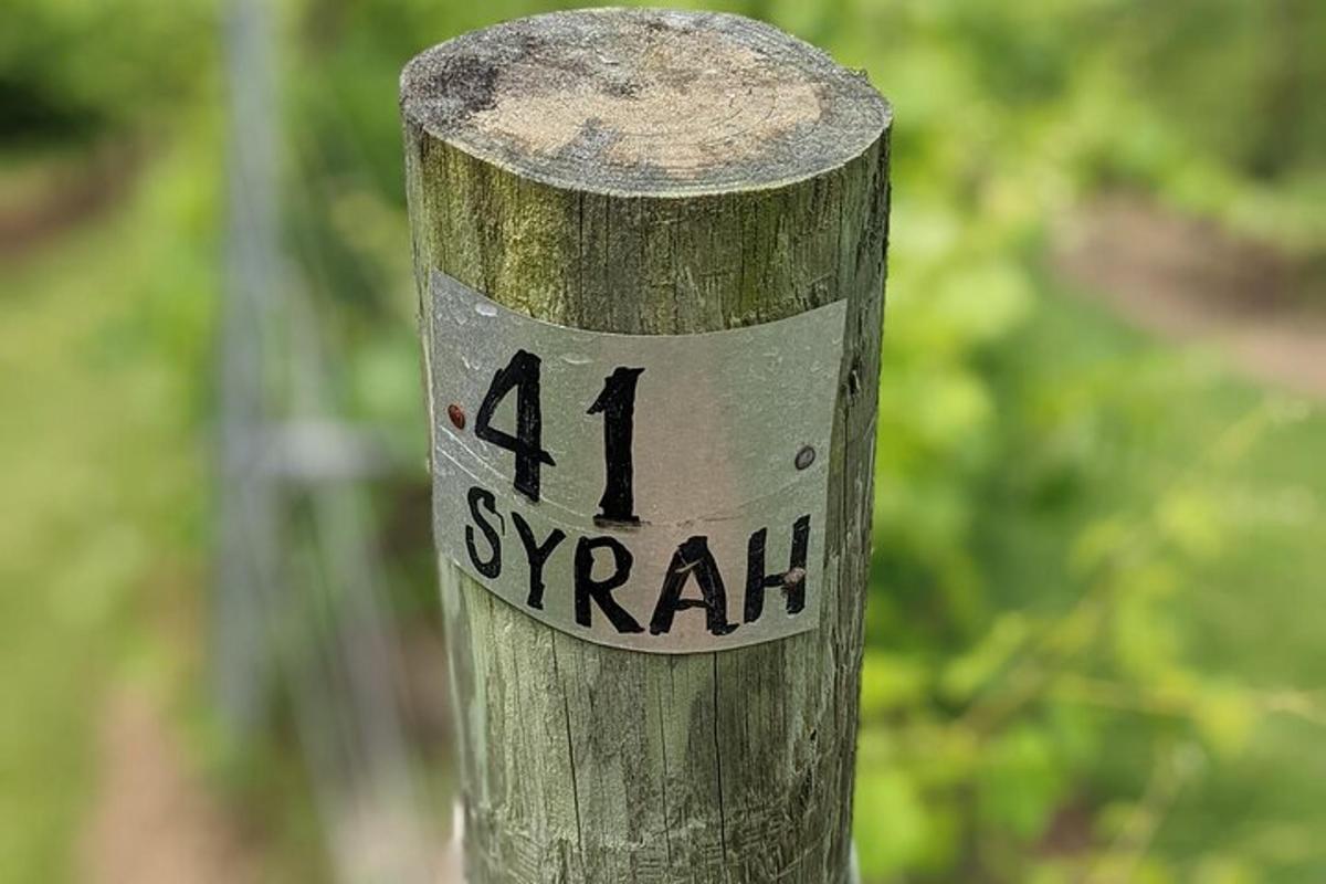 a wooden pole with the number on it