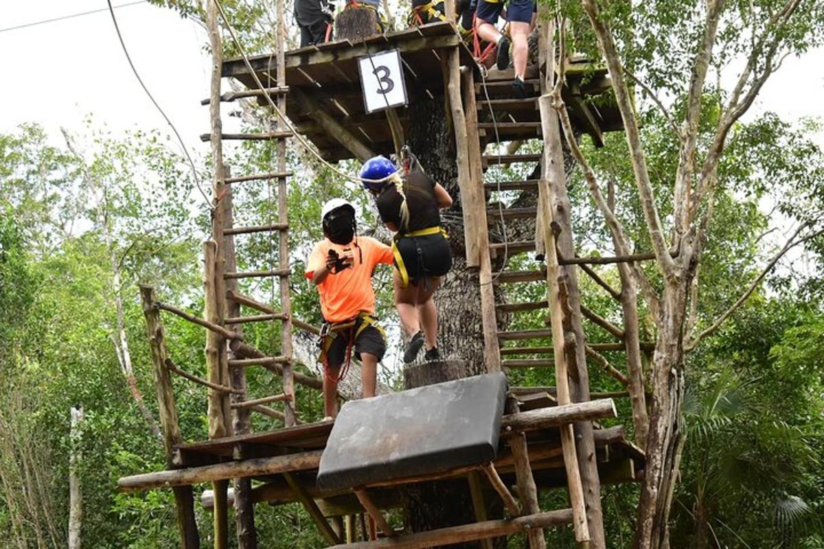 a group of people climbing up a tree house