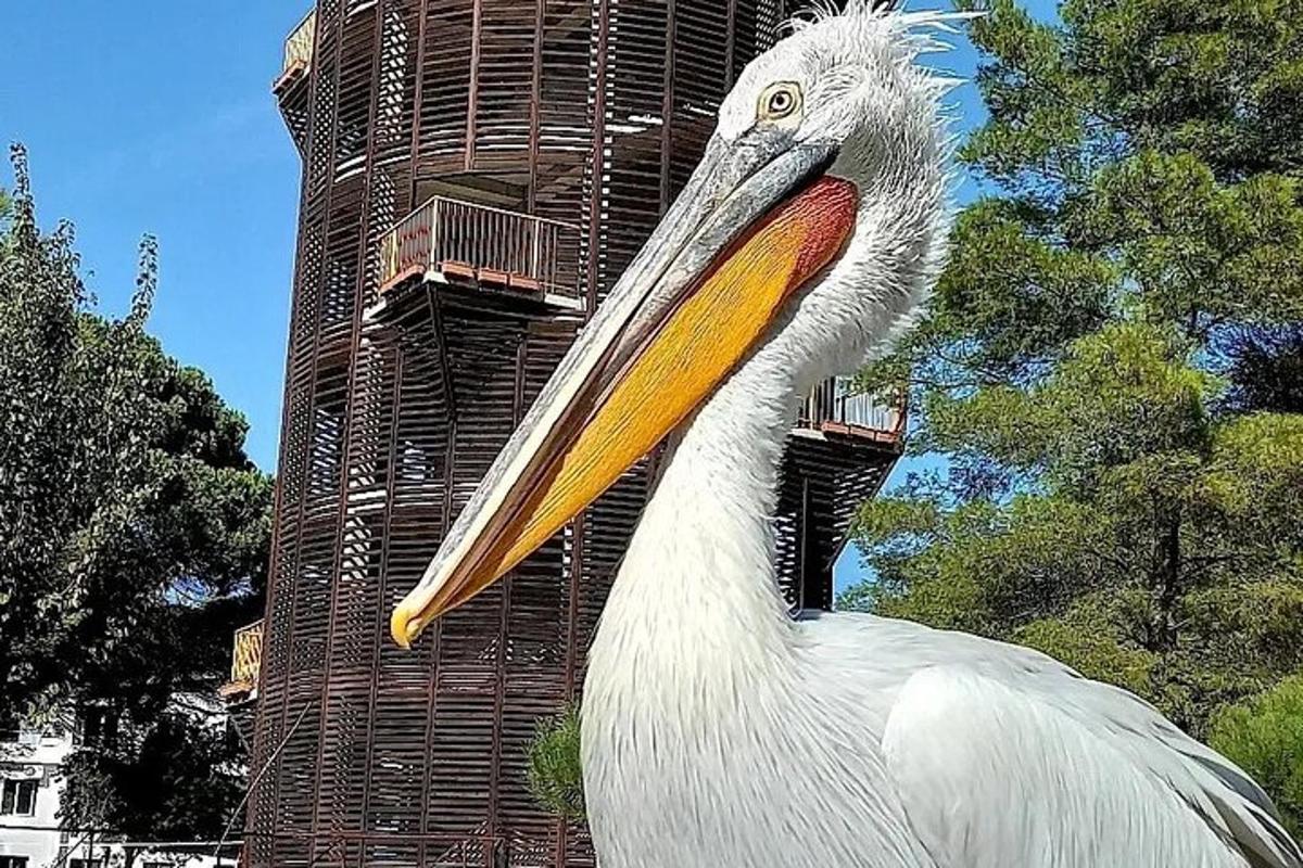 una estàtua d'un pelicà davant d'un edifici