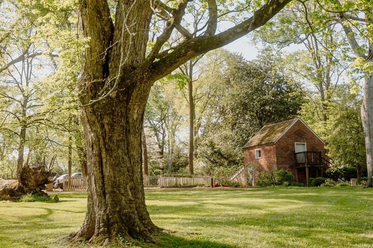 a tree in front of a house in a field