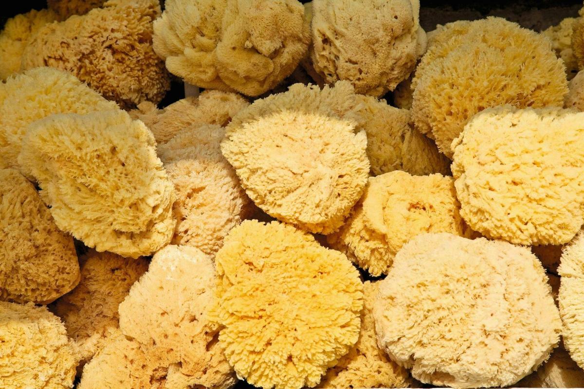 setumpuk berbagai jenis donat