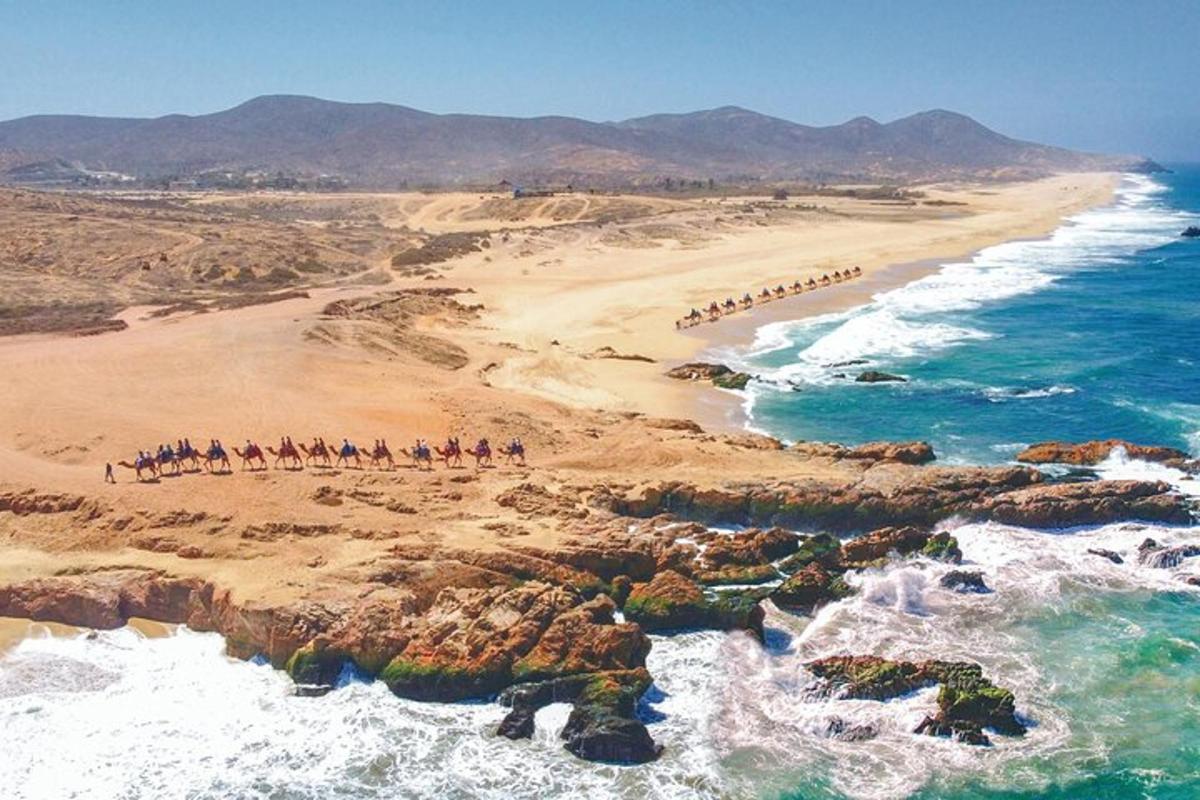 un grupo de personas en una playa cerca del océano