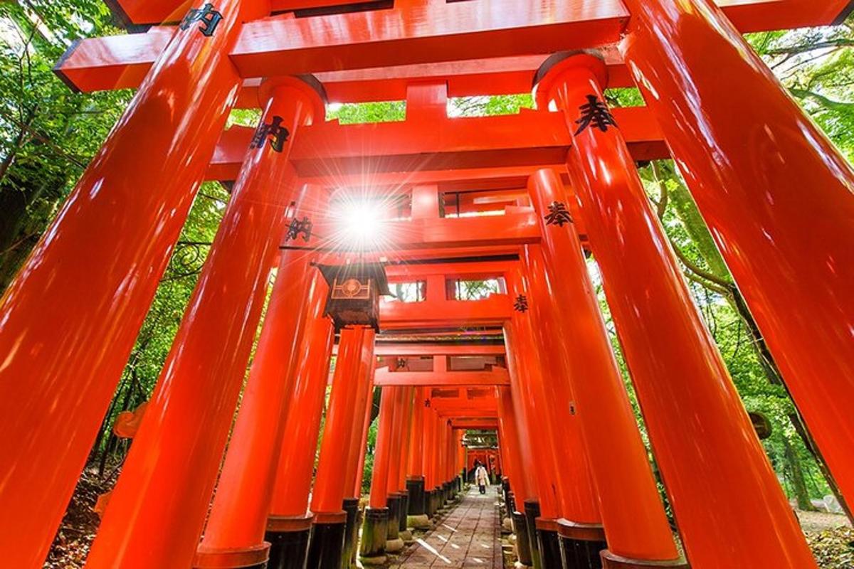 vchod do oranžové brány torii ve svatyni