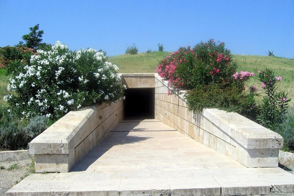 un tunnel di mattoni con due cespugli e fiori