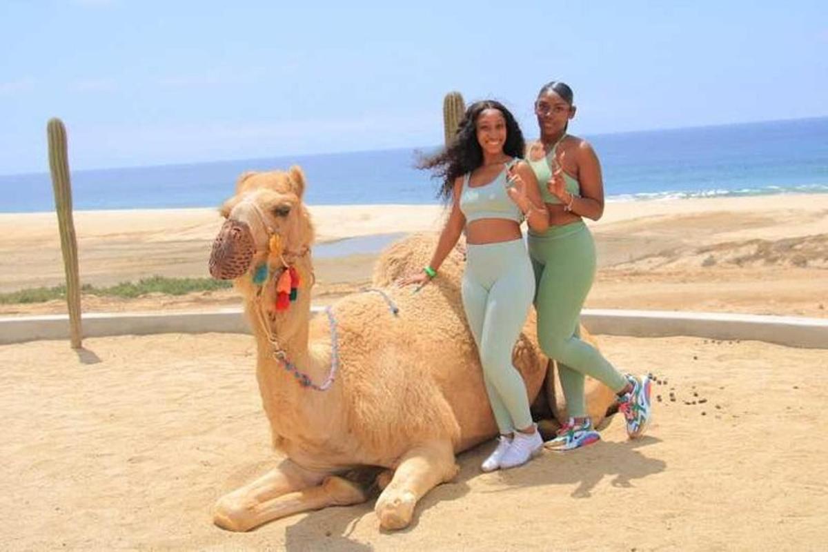 zwei Frauen stehen auf einem Kamel am Strand