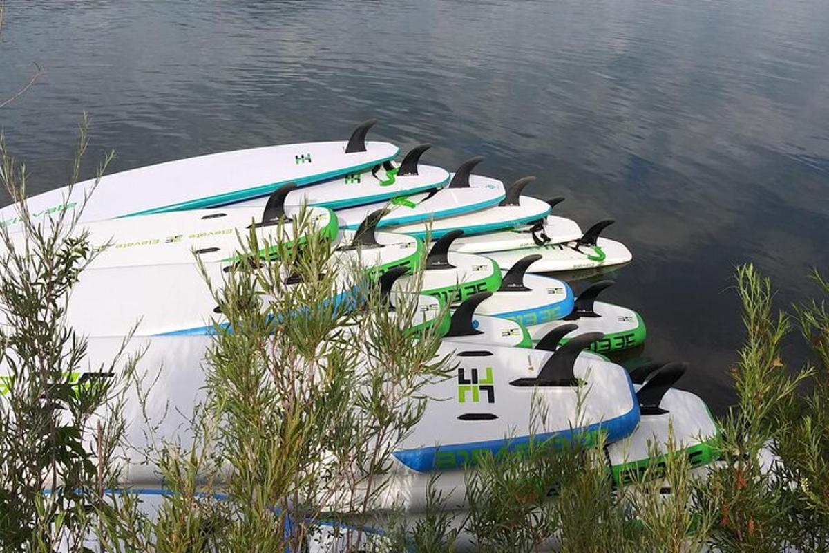 una fila di tavole da surf allineate nell'acqua